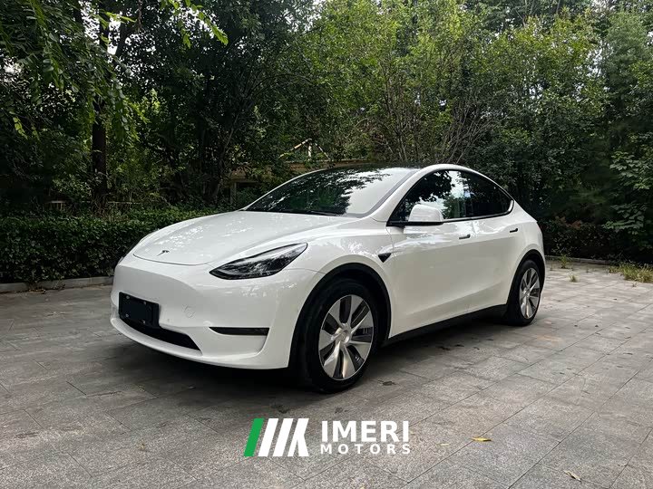 Tesla Model Y 2021 Standard Range RWD - ავტომობილი ჩინეთიდან
