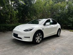 Tesla Model Y 2021 Standard Range RWD - ფოტო 1
