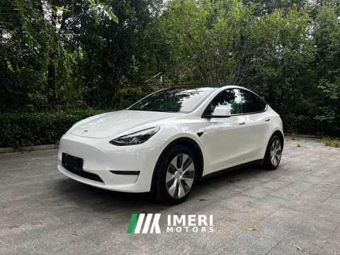 2022 Tesla Model Y 2021 Standard Range RWD - ავტომობილი ჩინეთიდან