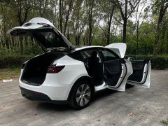 Tesla Model Y 2021 Standard Range RWD - ფოტო 18