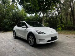 Tesla Model Y 2021 Standard Range RWD - ფოტო 3