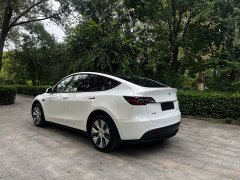 Tesla Model Y 2021 Standard Range RWD - ფოტო 5