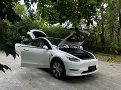 Tesla Model Y 2021 Standard Range RWD - ფოტო 7