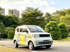 BMW Hongguang MINIEV Zizai Trim Ternary Lithium Battery - ფოტო 4