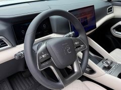 BYD Yuan UP 2024 401KM Leading Edition - ფოტო 13