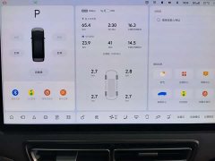 Li Auto Li Xiang MEGA Ultra - ფოტო 9