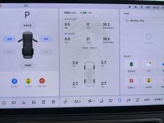 Li Auto Li Xiang MEGA 2024 Ultra - ფოტო 8