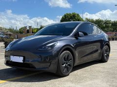 Tesla Model Y Rear-Wheel Drive - ფოტო 1