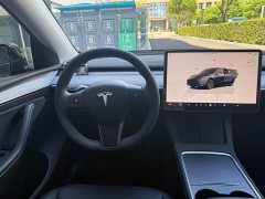 Tesla Model Y Rear-Wheel Drive - ფოტო 11