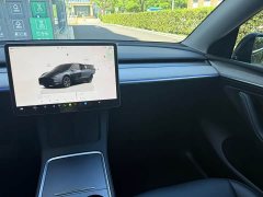 Tesla Model Y Rear-Wheel Drive - ფოტო 12