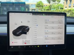 Tesla Model Y Rear-Wheel Drive - ფოტო 17