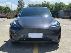 Tesla Model Y Rear-Wheel Drive - ფოტო 2