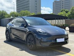 Tesla Model Y Rear-Wheel Drive - ფოტო 3