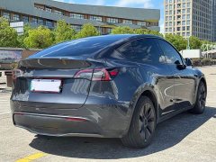 Tesla Model Y Rear-Wheel Drive - ფოტო 6