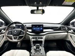 BYD Qin PLUS Champion Edition EV 420KM Excellence - ფოტო 4