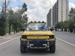 Deepal Deep Blue G318 Worry-Free Adventure Edition Four-Wheel Drive Mystic Realm Edition - ფოტო 2
