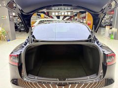 Tesla Model 3 Standard Range RWD Upgrade 3D6 - ფოტო 12