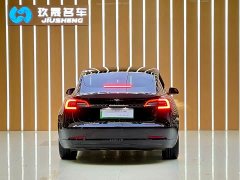Tesla Model 3 Standard Range RWD Upgrade 3D6 - ფოტო 17
