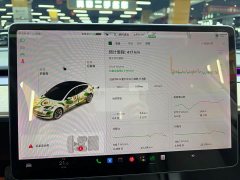 Tesla Model 3 Standard Range RWD Upgrade 3D6 - ფოტო 8