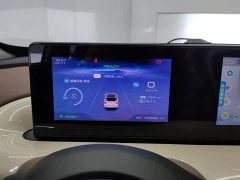 Wuling Binguo 203km Comfort Edition - ფოტო 14
