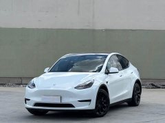 Tesla Model Y 2022 Rear-Wheel Drive - ფოტო 1