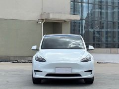 Tesla Model Y 2022 Rear-Wheel Drive - ფოტო 2