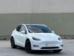 Tesla Model Y 2022 Rear-Wheel Drive - ფოტო 3