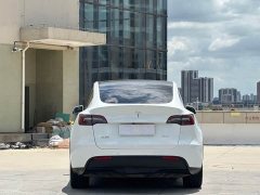 Tesla Model Y 2022 Rear-Wheel Drive - ფოტო 8