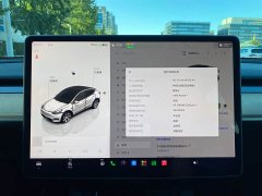 Tesla Model Y Facelift Rear-Wheel Drive - ფოტო 9
