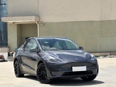 Tesla Model Y 2022 Rear-Wheel Drive - ფოტო 3