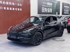 Tesla Model Y Long Range All-Wheel Drive - ფოტო 1