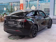 Tesla Model Y Long Range All-Wheel Drive - ფოტო 7