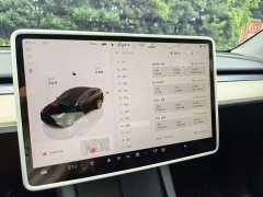 Tesla Model Y Facelift Rear-Wheel Drive - ფოტო 8