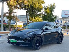 Tesla Model Y Long Range All-Wheel Drive - ფოტო 1