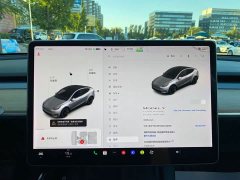 Tesla Model Y Long Range All-Wheel Drive - ფოტო 11