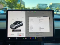 Tesla Model Y Long Range All-Wheel Drive - ფოტო 12