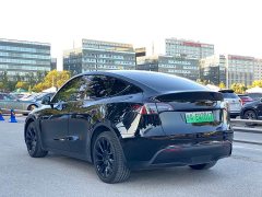 Tesla Model Y Long Range All-Wheel Drive - ფოტო 4