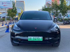 Tesla Model Y Long Range All-Wheel Drive - ფოტო 6