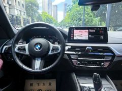 BMW 5 Series Facelift 530Li Premier M Sport Package - ფოტო 8