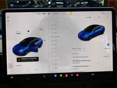 Tesla Model 3 Standard Range RWD Upgrade 3D6 - ფოტო 4