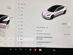 Tesla Model 3 2022 Rear-Wheel Drive - ფოტო 12
