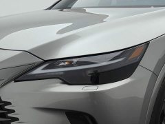 Lexus RX 300 AWD Premium Edition - ფოტო 16