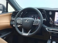 Lexus RX 300 AWD Premium Edition - ფოტო 19
