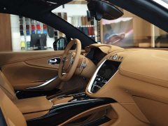 Aston Martin DBX 4.0T V8 - ფოტო 12
