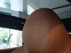 Aston Martin DBX 4.0T V8 - ფოტო 19