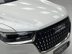 Haval H6 National Trend Edition 1.5T Automatic Urban Version - ფოტო 3
