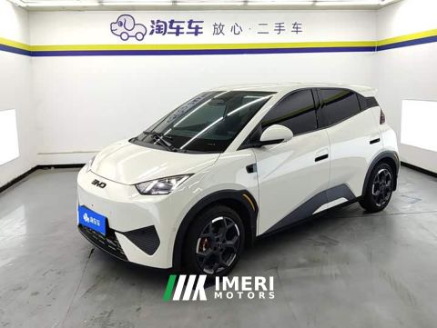 2025 BYD Seagull Smart Driving Edition 305km Freedom Edition - car from China