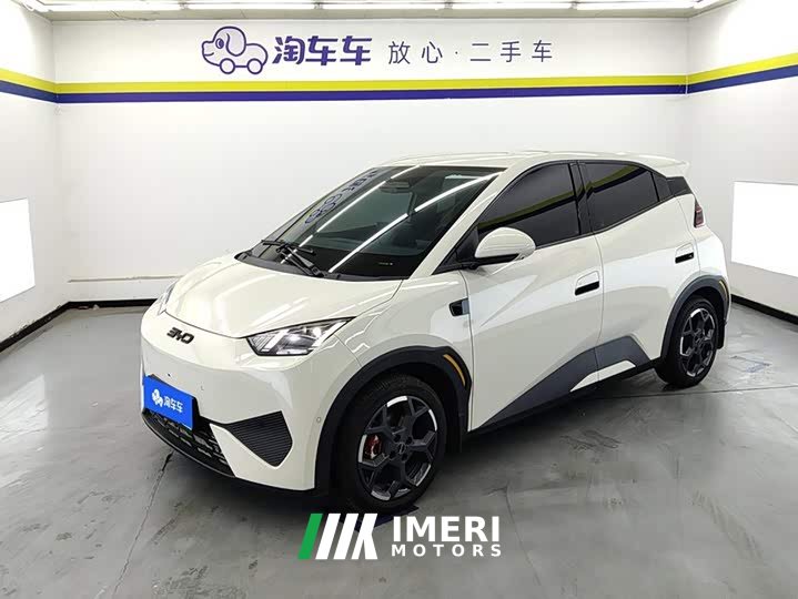 BYD Seagull Smart Driving Edition 305km Freedom Edition