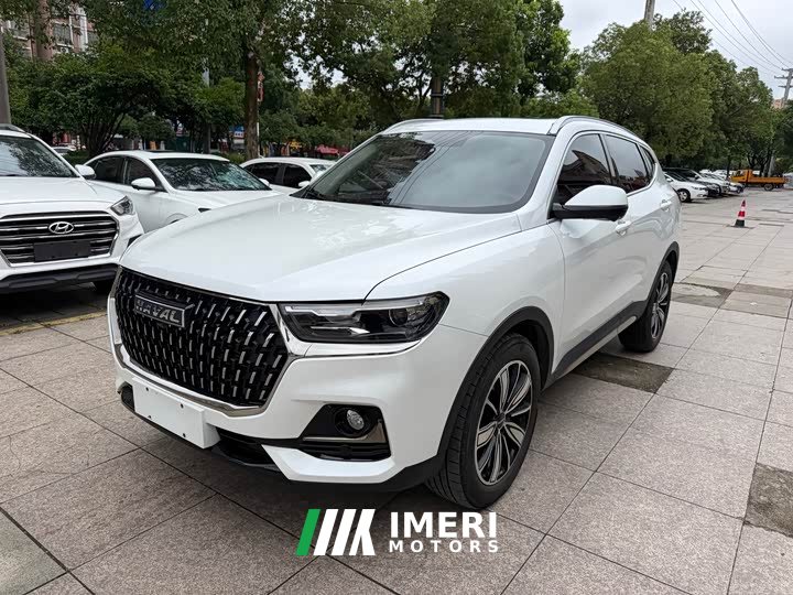 Haval H6 2023 National Trend Edition 1.5T Automatic Champion Version - ავტომობილი ჩინეთიდან