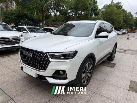 2024 Haval H6 National Trend Edition 1.5T Automatic Champion Version - ავტომობილი ჩინეთიდან